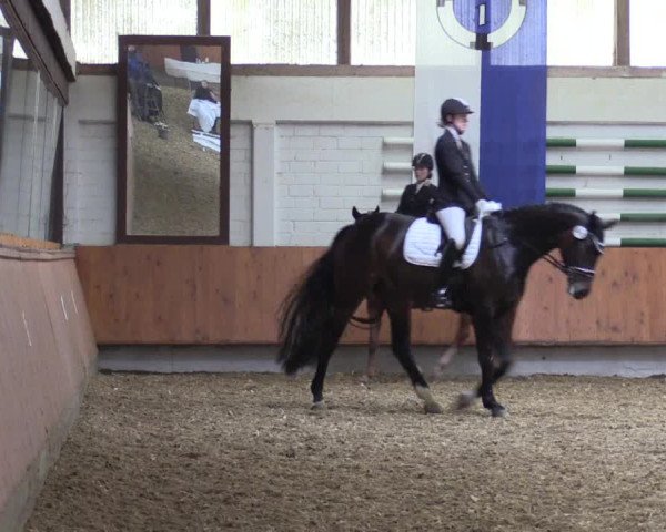 Reitturnier Bottrop 2019