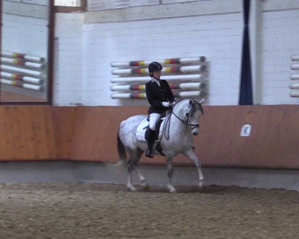 Reitturnier Bottrop 2019
