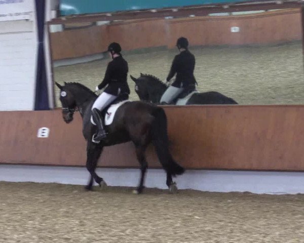 Reitturnier Bottrop 2019