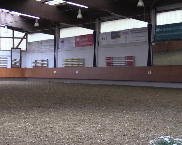 Reitturnier Bottrop 2019