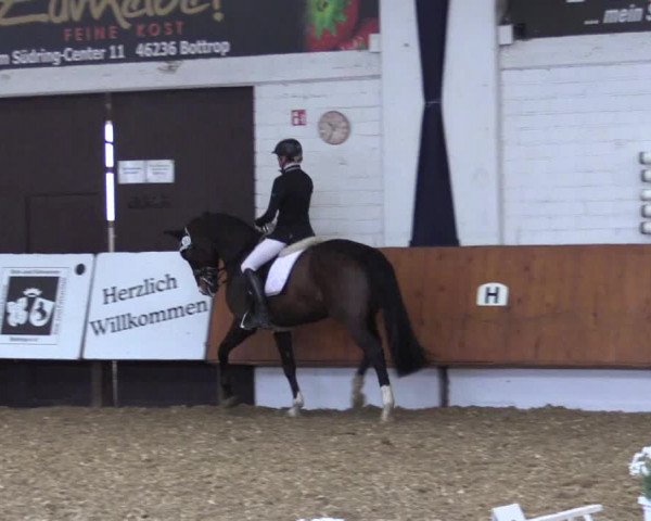 Reitturnier Bottrop 2019