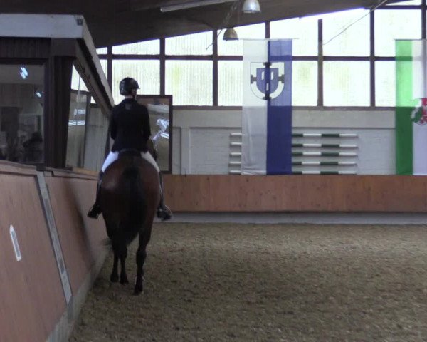 Reitturnier Bottrop 2019