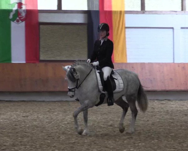 Reitturnier Bottrop 2019