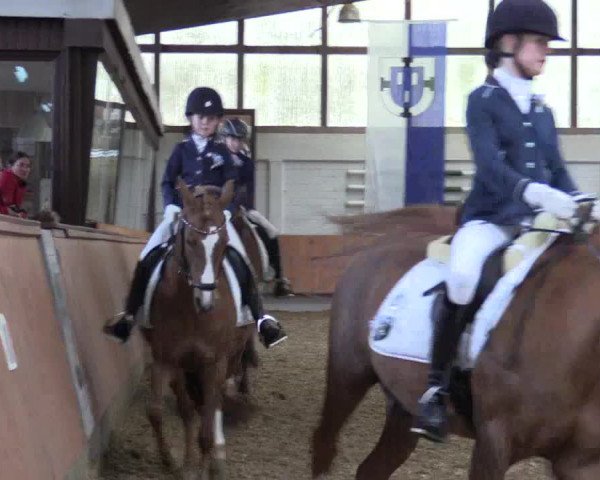 Reitturnier Bottrop 2019