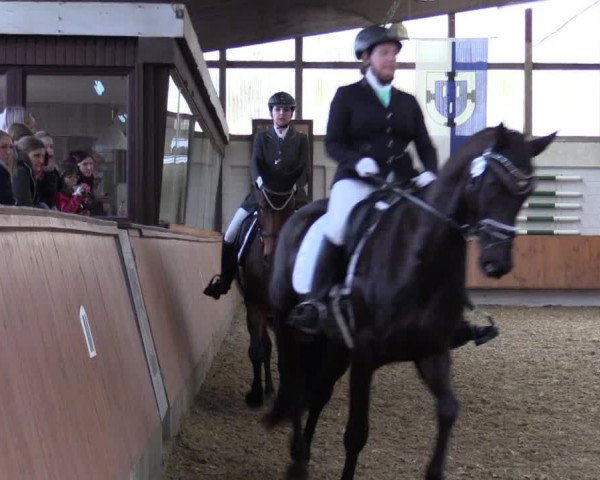 Reitturnier Bottrop 2019