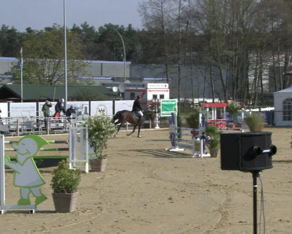 Reitturnier Schloß Holte 2019