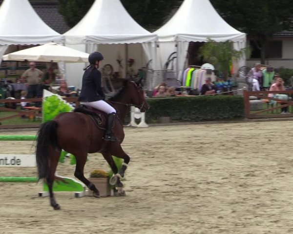 Equus Colonius - Reitanlage Brüse Köln 2021