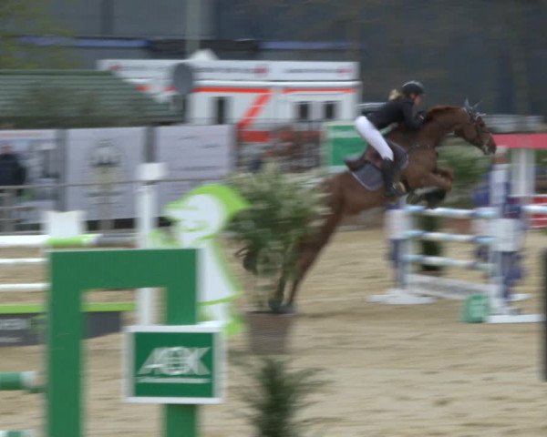 Reitturnier Schloß Holte 2019