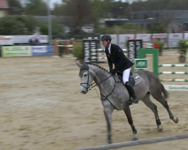 Reitturnier Schloß Holte 2019