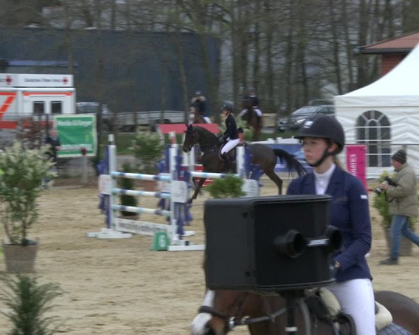 Reitturnier Schloß Holte 2019