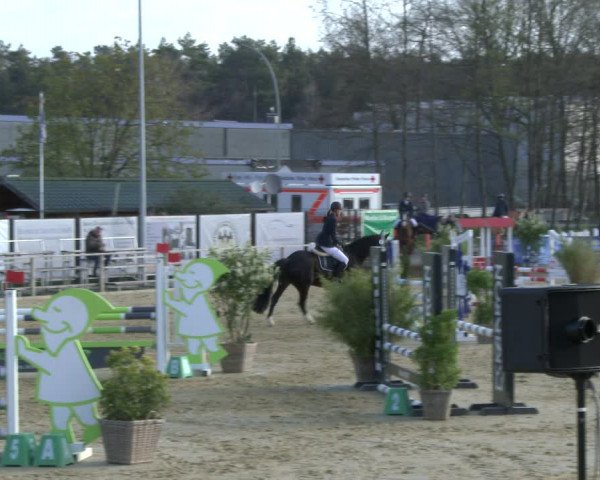 Reitturnier Schloß Holte 2019