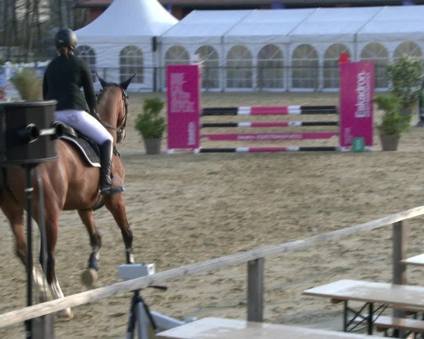 Reitturnier Schloß Holte 2019