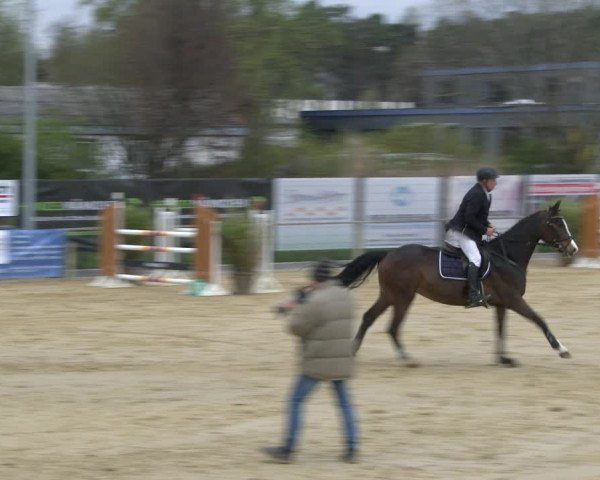 Reitturnier Schloß Holte 2019