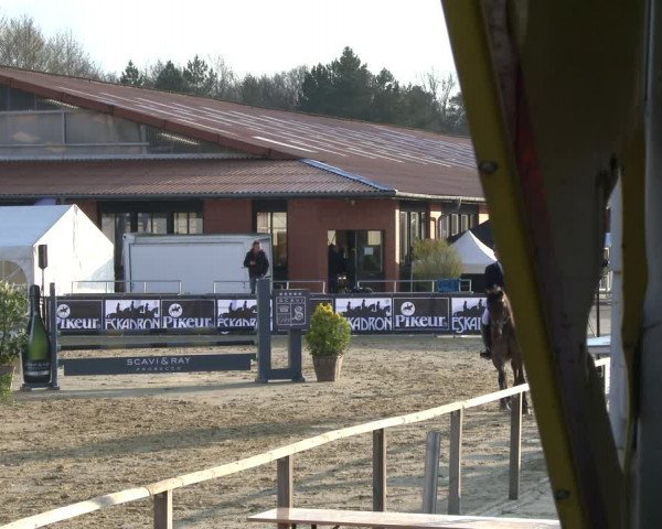 Reitturnier Schloß Holte 2019