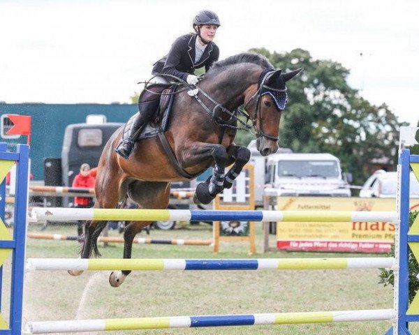 jumper Balou Blue (Oldenburg, 2004, from Balou du Rouet)