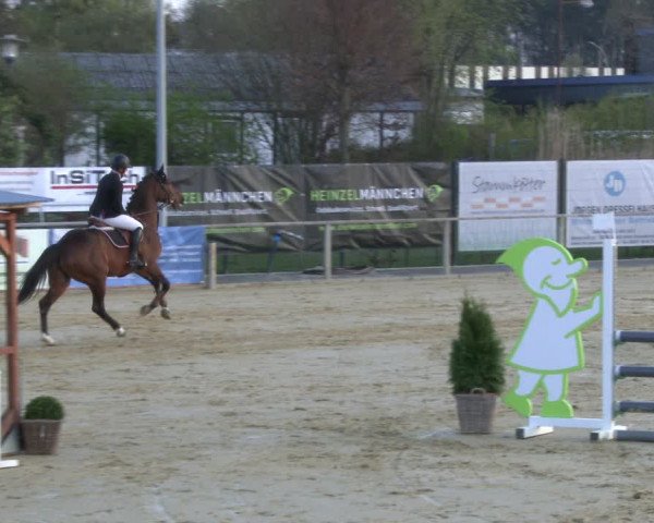 Reitturnier Schloß Holte 2019