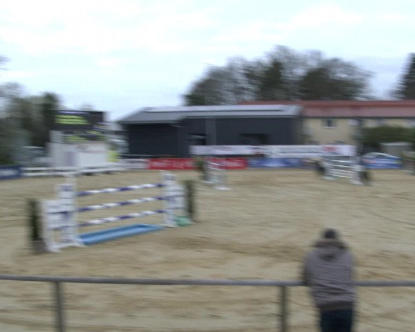 Reitturnier Schloß Holte 2019