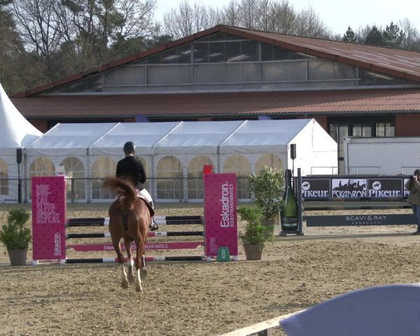 Reitturnier Schloß Holte 2019