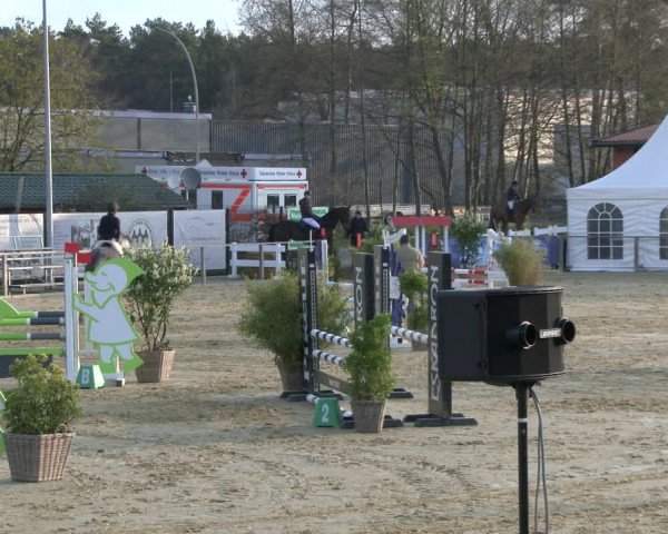 Reitturnier Schloß Holte 2019