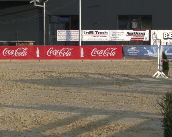 Reitturnier Schloß Holte 2019