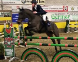 jumper Luidor 16 (Oldenburg, 2001, from Looping)