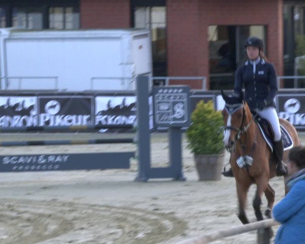 Reitturnier Schloß Holte 2019