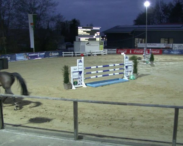 Reitturnier Schloß Holte 2019
