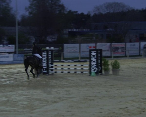 Reitturnier Schloß Holte 2019