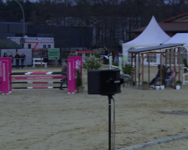 Reitturnier Schloß Holte 2019