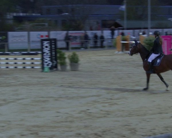 Reitturnier Schloß Holte 2019