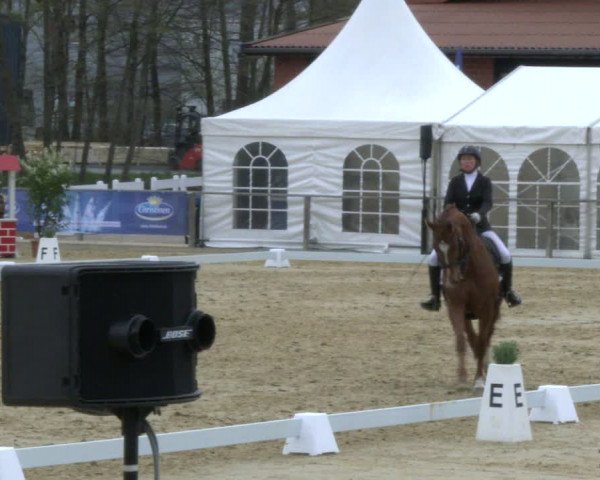 Reitturnier Schloß Holte 2019