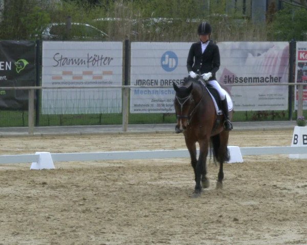 Reitturnier Schloß Holte 2019