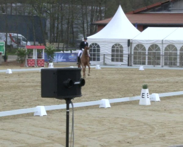 Reitturnier Schloß Holte 2019