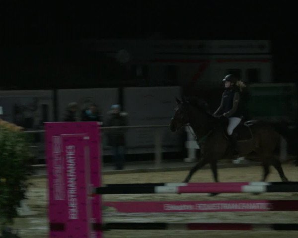 Reitturnier Schloß Holte 2019