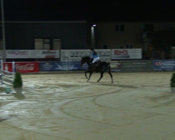 Reitturnier Schloß Holte 2019