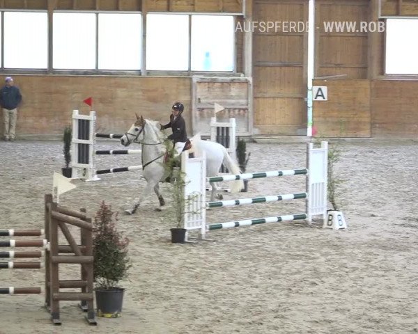 Reitturnier Rüti 2019