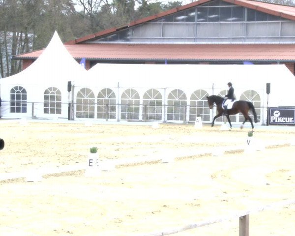 Reitturnier Schloß Holte 2019