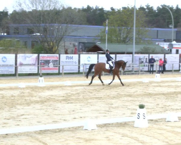 Reitturnier Schloß Holte 2019