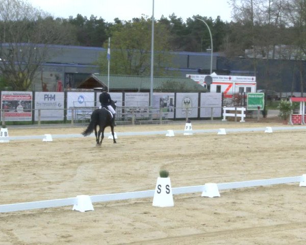 Reitturnier Schloß Holte 2019