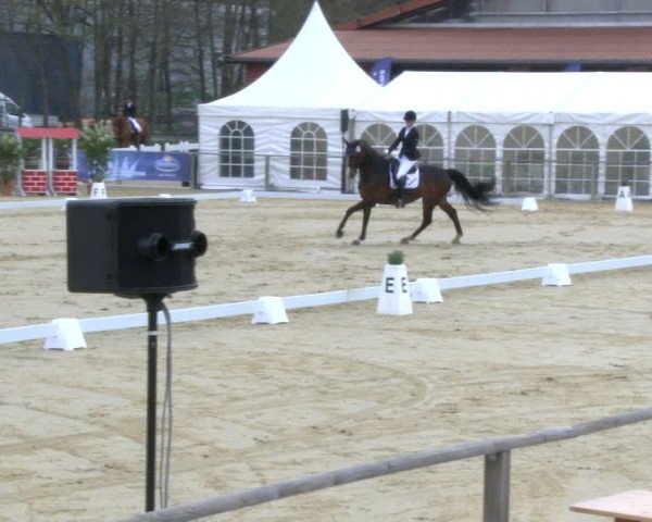 Reitturnier Schloß Holte 2019