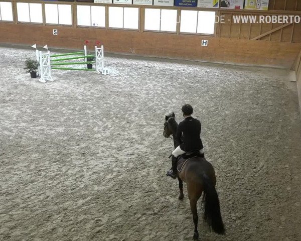 Reitturnier Rüti 2019