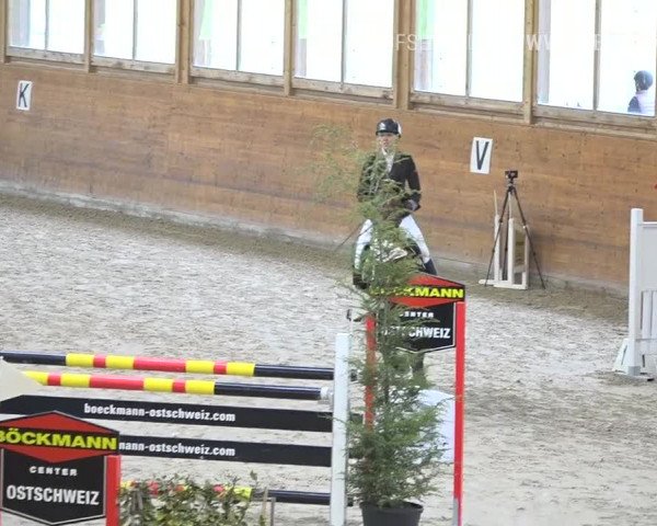 Reitturnier Rüti 2019