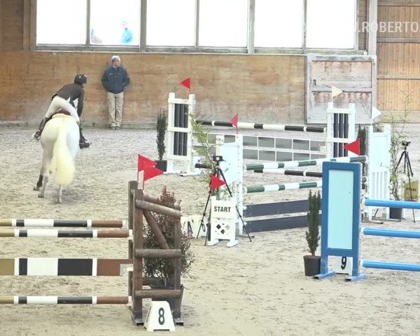 Reitturnier Rüti 2019