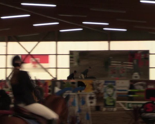 Große Jumping-Trophy Pausin 2021