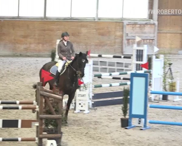 Reitturnier Rüti 2019