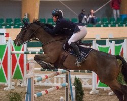 jumper Lugano 310 (Sachse, 2002, from Levisto Z)