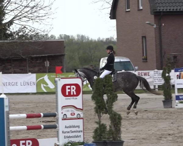 Reitturnier Werne-Lenklar 2019