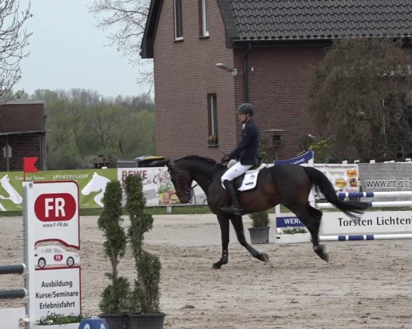 Reitturnier Werne-Lenklar 2019