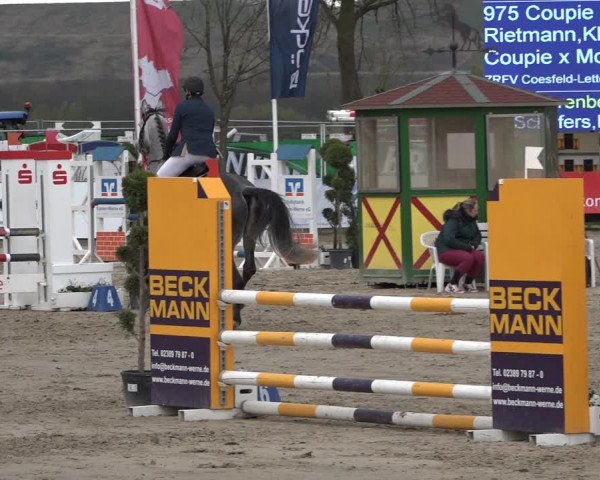 Reitturnier Werne-Lenklar 2019