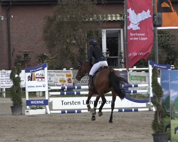 Reitturnier Werne-Lenklar 2019
